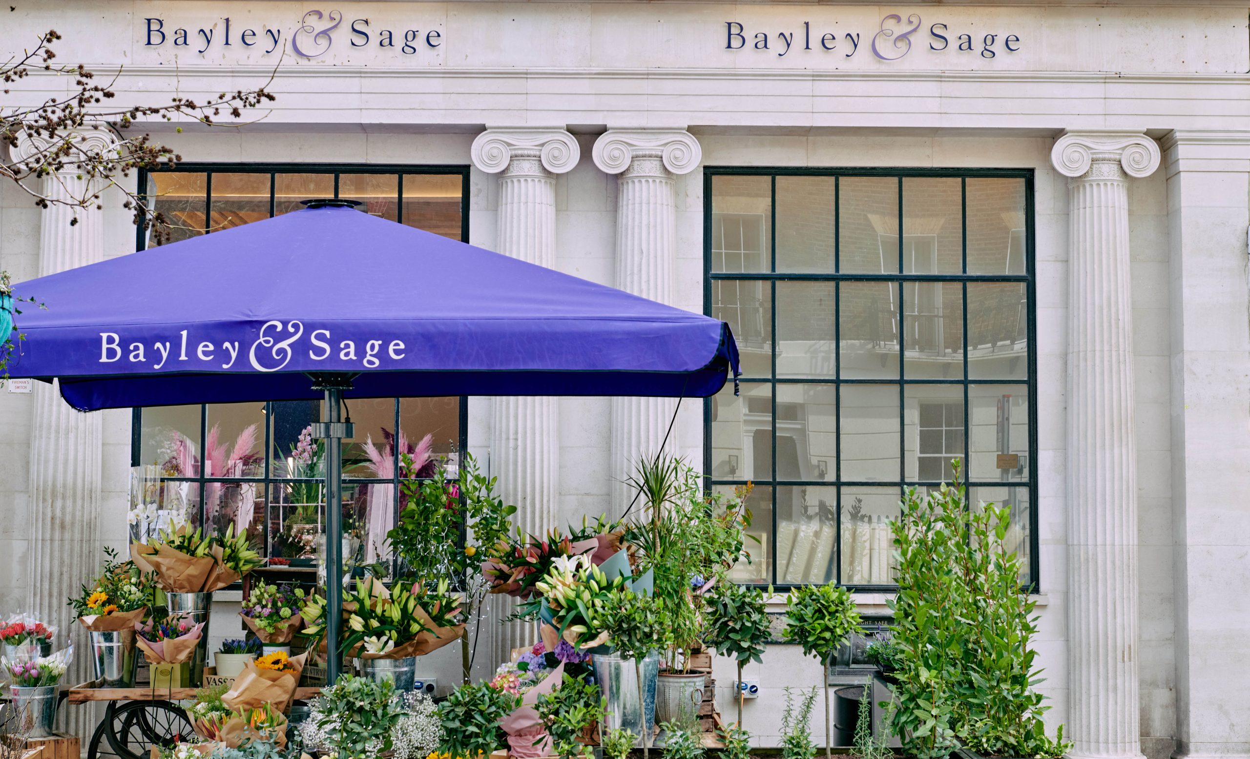 A display of beautiful bunches of flowers under a purple parasol outside a white stone building